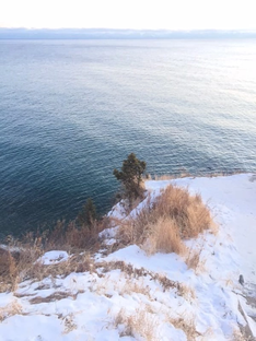 В трех соснах