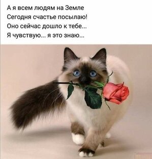 СТАТУСЫ