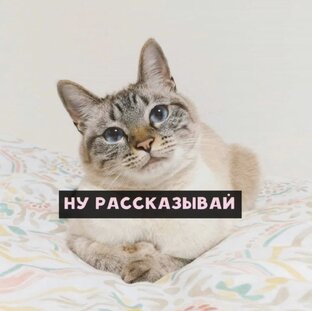 Психология