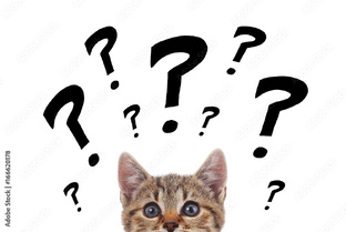 Это интересно. 