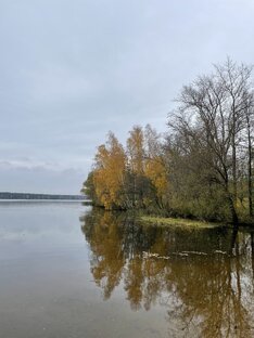 Мир вокруг…