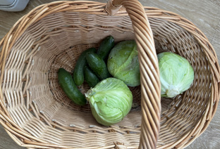 Все про мой огород. Премиум