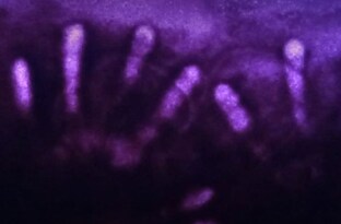 Песочные истории