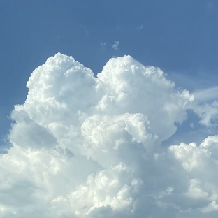 Новое сознание