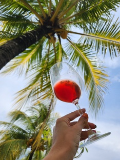 Винные путешествия по миру