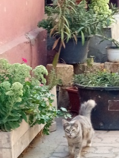 Крым и дорога из Перми