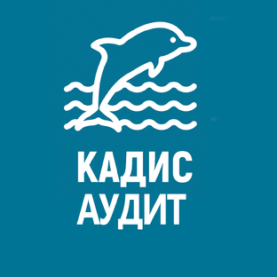 Аудит: Вопрос-Ответ