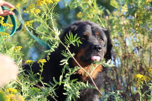 По жизни с улыбкой! Подборка для хорошего настроения