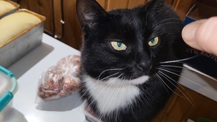 ВЛОГИ МАРТ 2025 ГОД