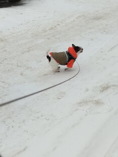 Смешные моменты