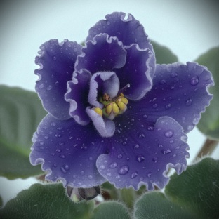 Подруга наела истории