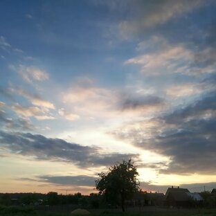 Природа и животные