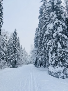 Места для активного зимнего отдыха в Санкт-Петербурге и Ленинградской области