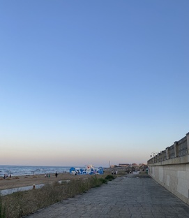 Наши черепашки