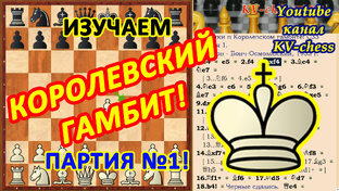 Шахматные Ловушки в дебюте Королевский гамбит