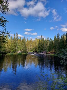 Ответы на задания второй части сборника  О. Котовой, Т. Лисковой 2024