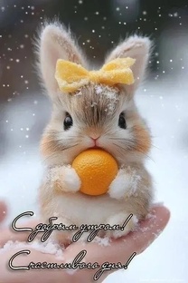 Доброе утречко, плодотворного дня.