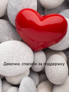 СП НОСОЧНАЯ ИГРА 2025