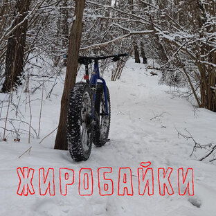 Про любимые жиробайки