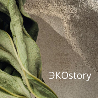 ЭКОstory