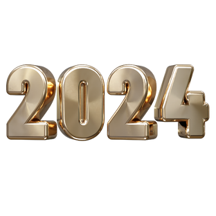 Проекты СО НКО 2024