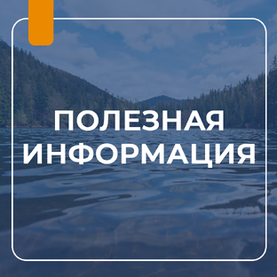 ПОЛЕЗНАЯ ИНФОРМАЦИЯ