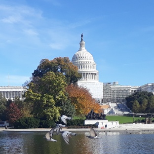 США