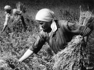 Хроника событий 1917 года в Калужской губернии