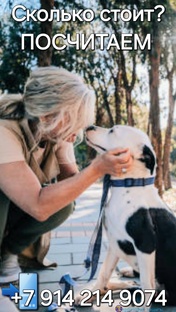 Домашние питомцы,  страхование