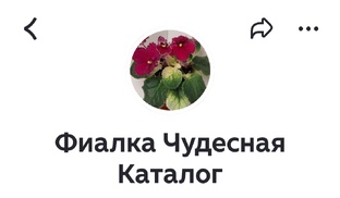 2026г. Каталог моих фиалок