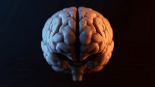 ПСИХИКА И МЕТАБОЛИЗМ