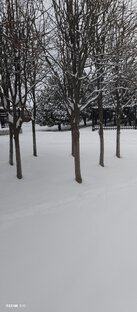 Природа и погода🌲❄️