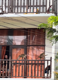 Мои истории и путешествия