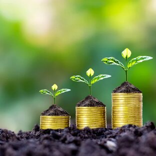 Финансовая грамотность 