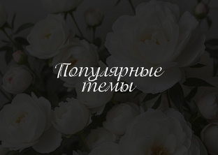 Популярные темы