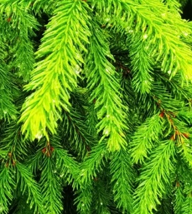 Февраль месяц 2026