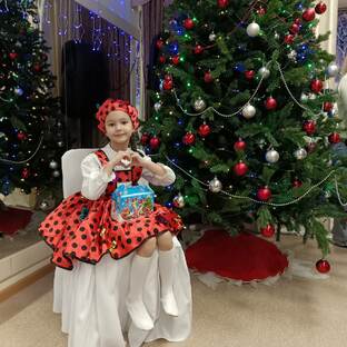 Новогодние истории.