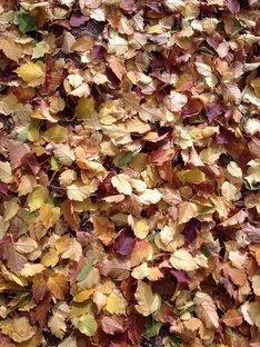 Размышления.