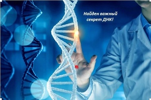 Домашний доктор