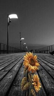 Работа. Финансы