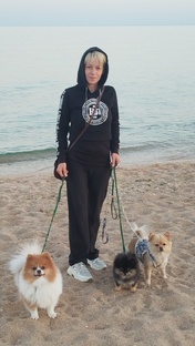 Мои питомцы