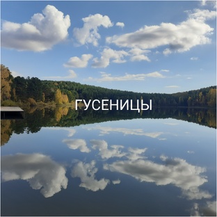 Волшебные превращения