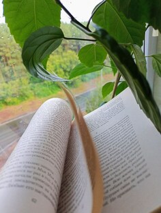 Читаю, смотрю и обсуждаю