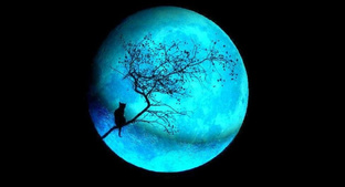 Лунные программы