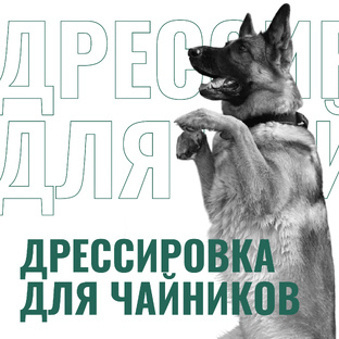 Дрессировка для чайников
