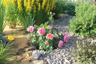 Креативные идеи для создания красивого сада