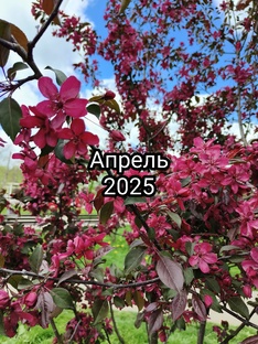 Апрель 2025