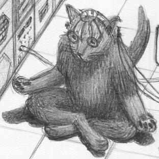 Кото-комиксы. Чик и Бок. 12 сезон.