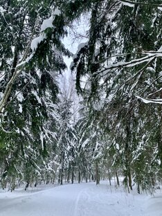 Парк Сергиевка