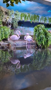 Зоопарки, Океанариумы, динопарки или отдых с детьми